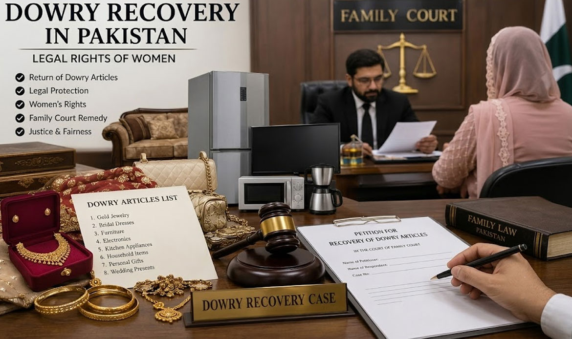 lawyer Legal Information
